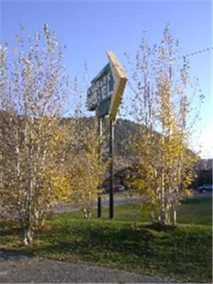 Teton Gables Motel Jackson Exterior foto